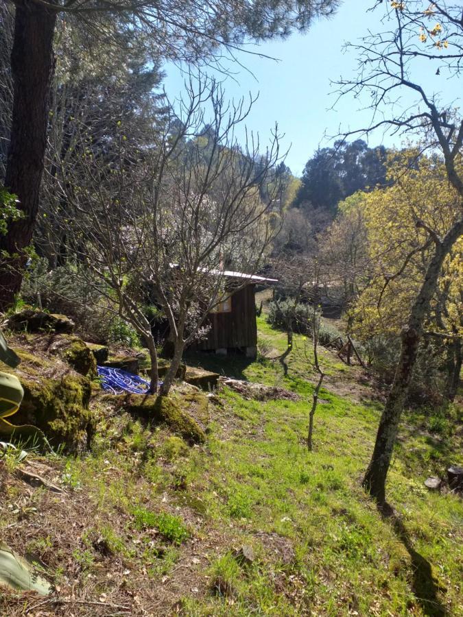 Cabana Da Oliveira Marco de Canavezes Dış mekan fotoğraf