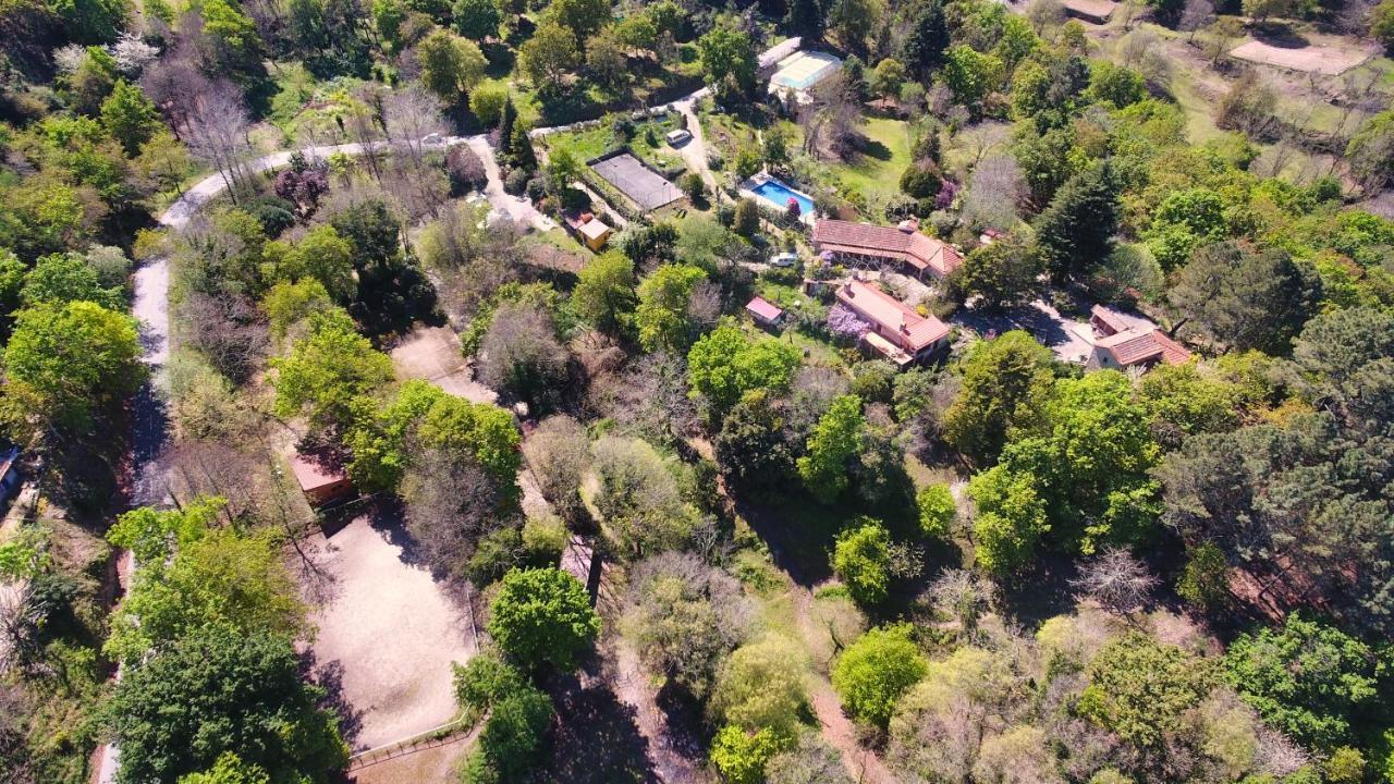 Cabana Da Oliveira Marco de Canavezes Dış mekan fotoğraf