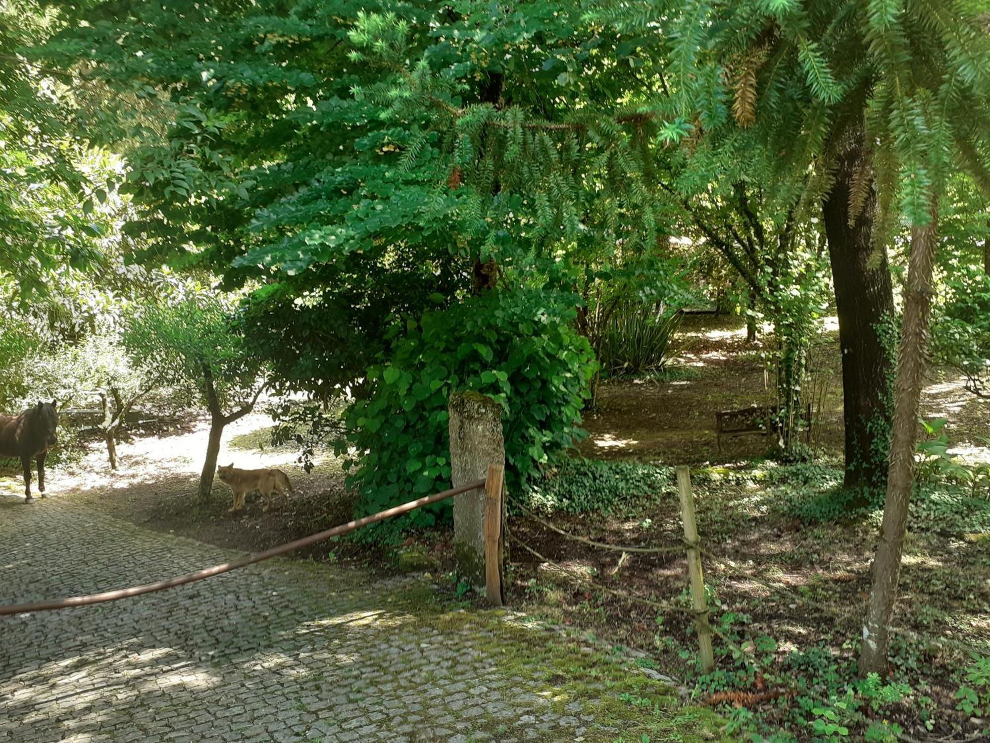 Cabana Da Oliveira Marco de Canavezes Dış mekan fotoğraf